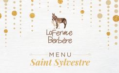 Saint Sylvestre Ferme Berbère
