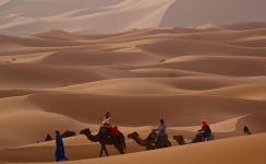 Sud Maroc LVDS Travel