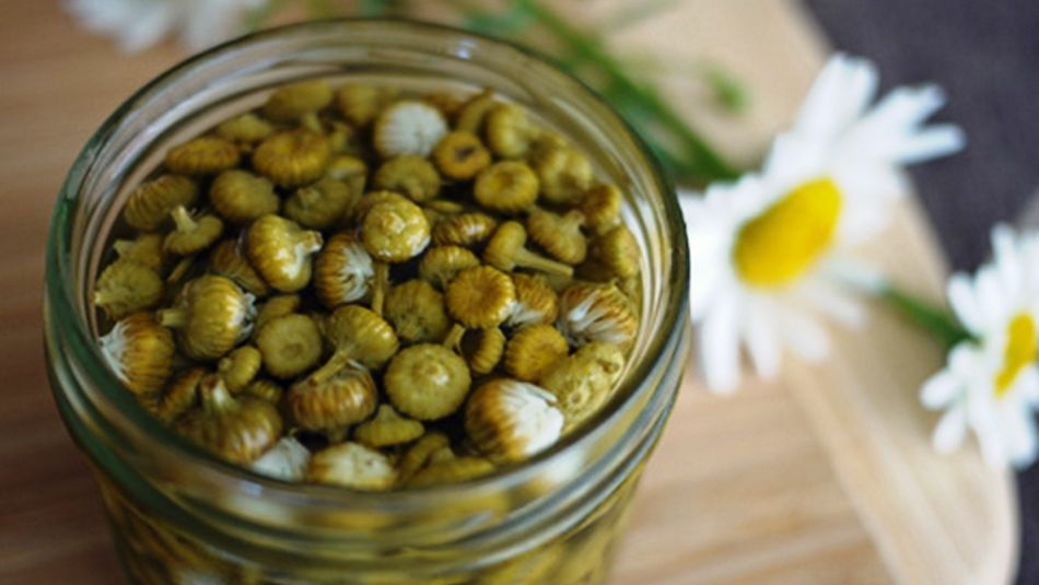 La tradition culinaire de la câpre marocaine